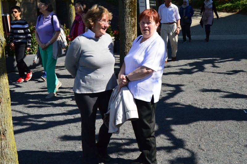 Familientag 2016 - Bonn / Königswinter